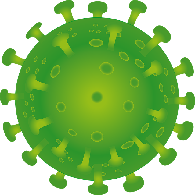 coronavirus-5058247_640